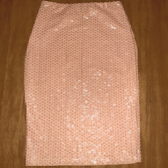 XS H&M Shimmery Skirt - Picture 2 of 5